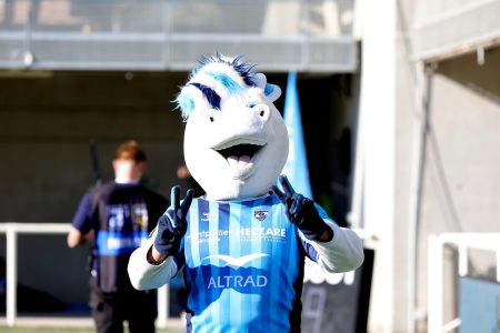 Le seul et unique Bikounet