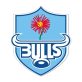 Vodacom Bulls